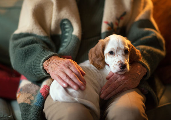dog on elderly man's lap